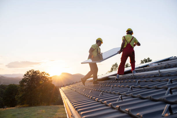 Best Storm Damage Roof Repair  in La Fayette, AL