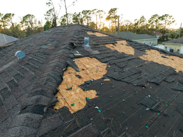 Best Rubber Roofing (EPDM, TPO)  in La Fayette, AL