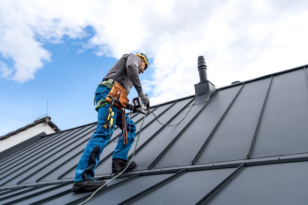 Best Rubber Roofing (EPDM, TPO)  in La Fayette, AL